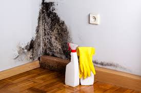 Best Residential Mold Inspection & Testing  in Oquawka, IL